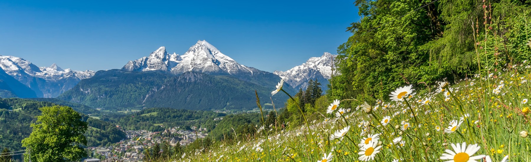 Zomer panorama